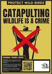 Help Protect Our Local Wildlife