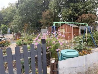 Glebe Park Allotment Holder Discount Card